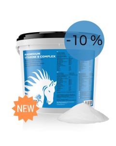 Magnésium vitamine B complexe cheval 
