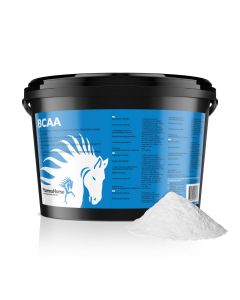 BCAA cheval