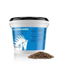 Les graines de psyllium cheval