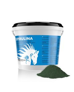 Spiruline cheval