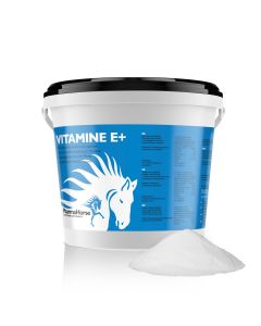 Vitamine E+ cheval 