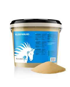 Gaillet gratteron cheval