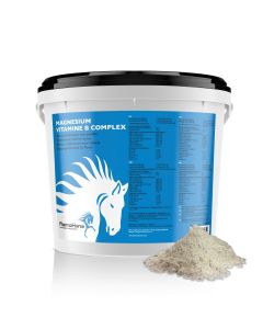 Magnésium vitamine B complexe cheval 