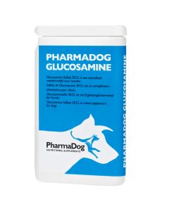 Glucosamine chien