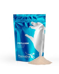 Psyllium moulu chien