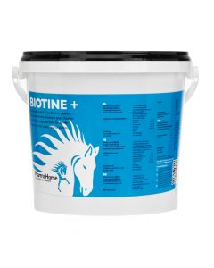 Biotine+ cheval 