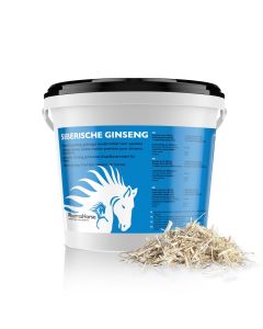 Ginseng Sibérien cheval 