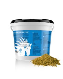 Herbes Glucose Support