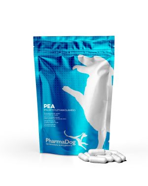 PEA (palmitoyléthanolamide) chien