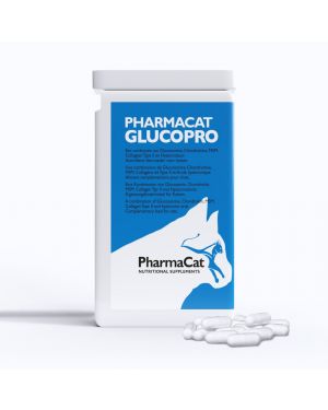 Glucopro chat