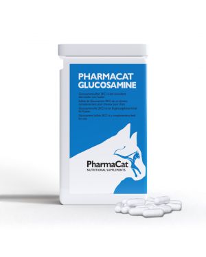 Glucosamine chat