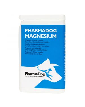 Magnésium chien