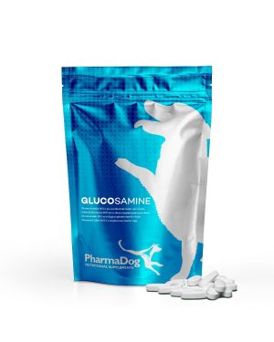 Glucosamine chien