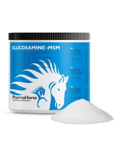 Glucosamine & MSM cheval 