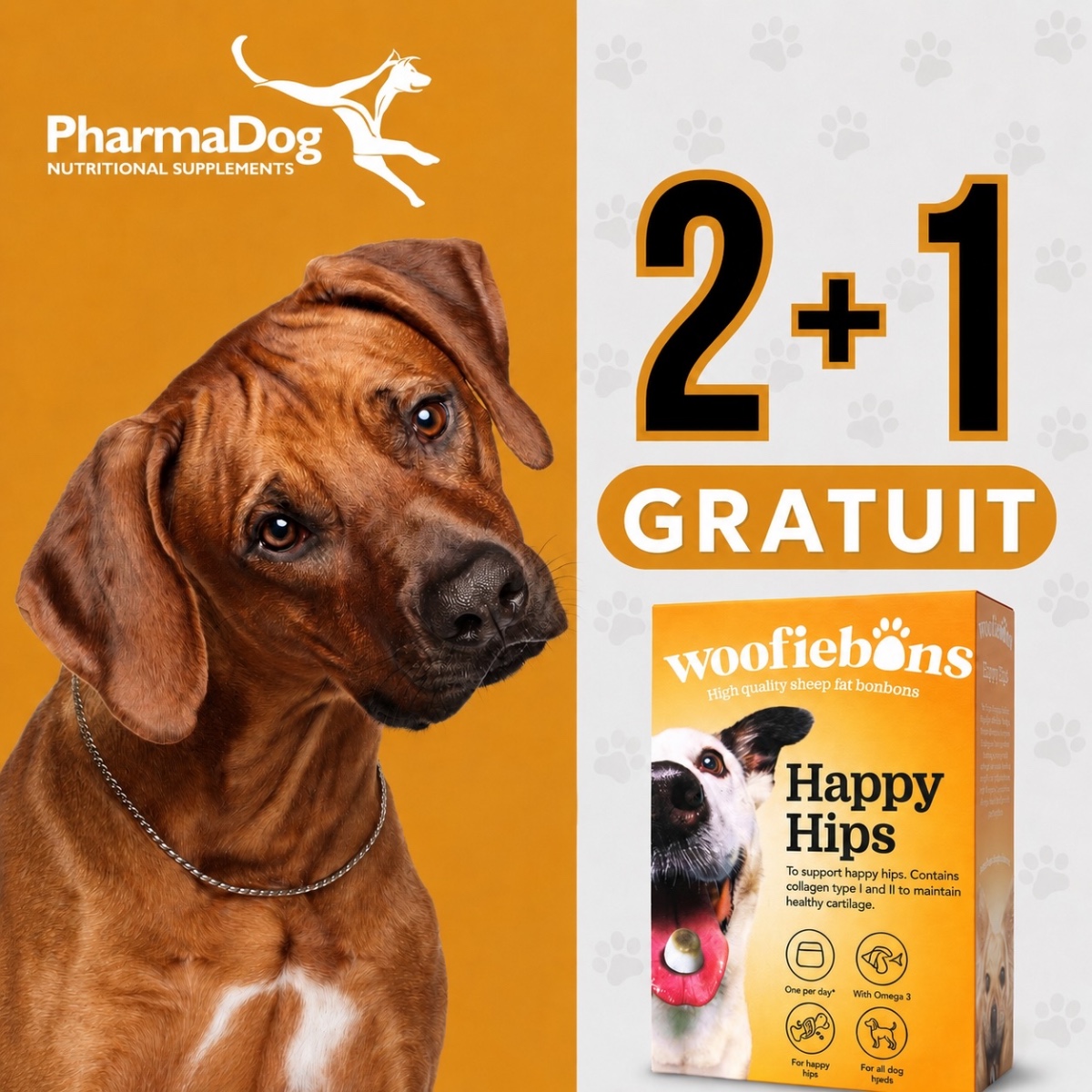 2_1_frans