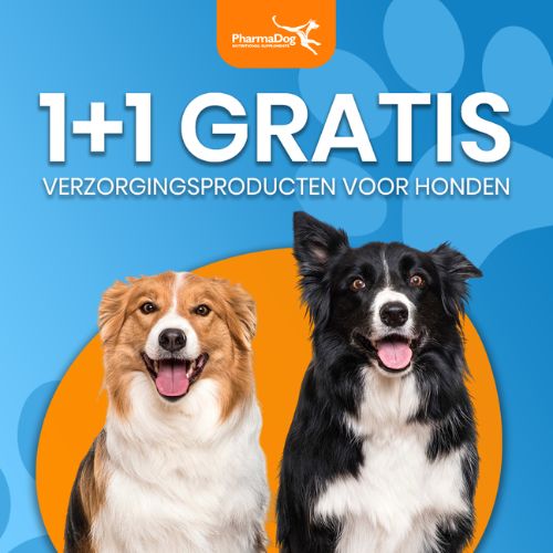 Product_van_de_maand_1_