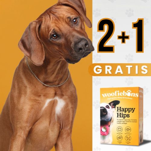 nieuws_link_2_
